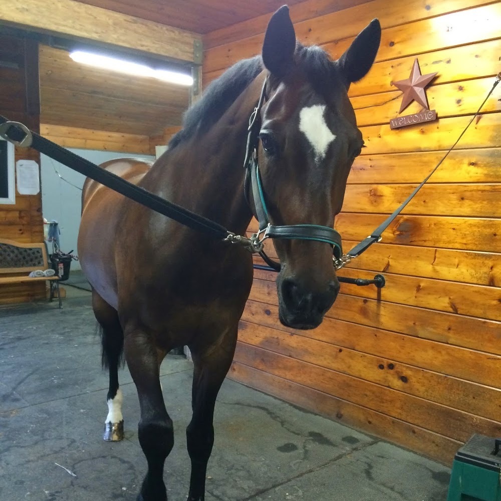 Meet your Posher, Victoria